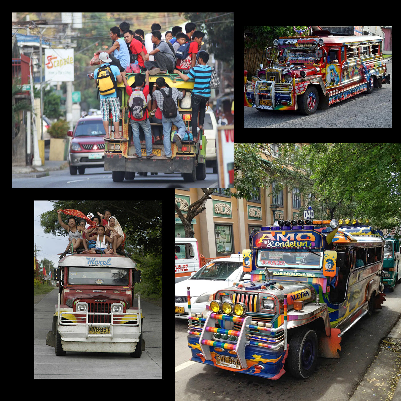 Undisputed Jeepney T-Shirt